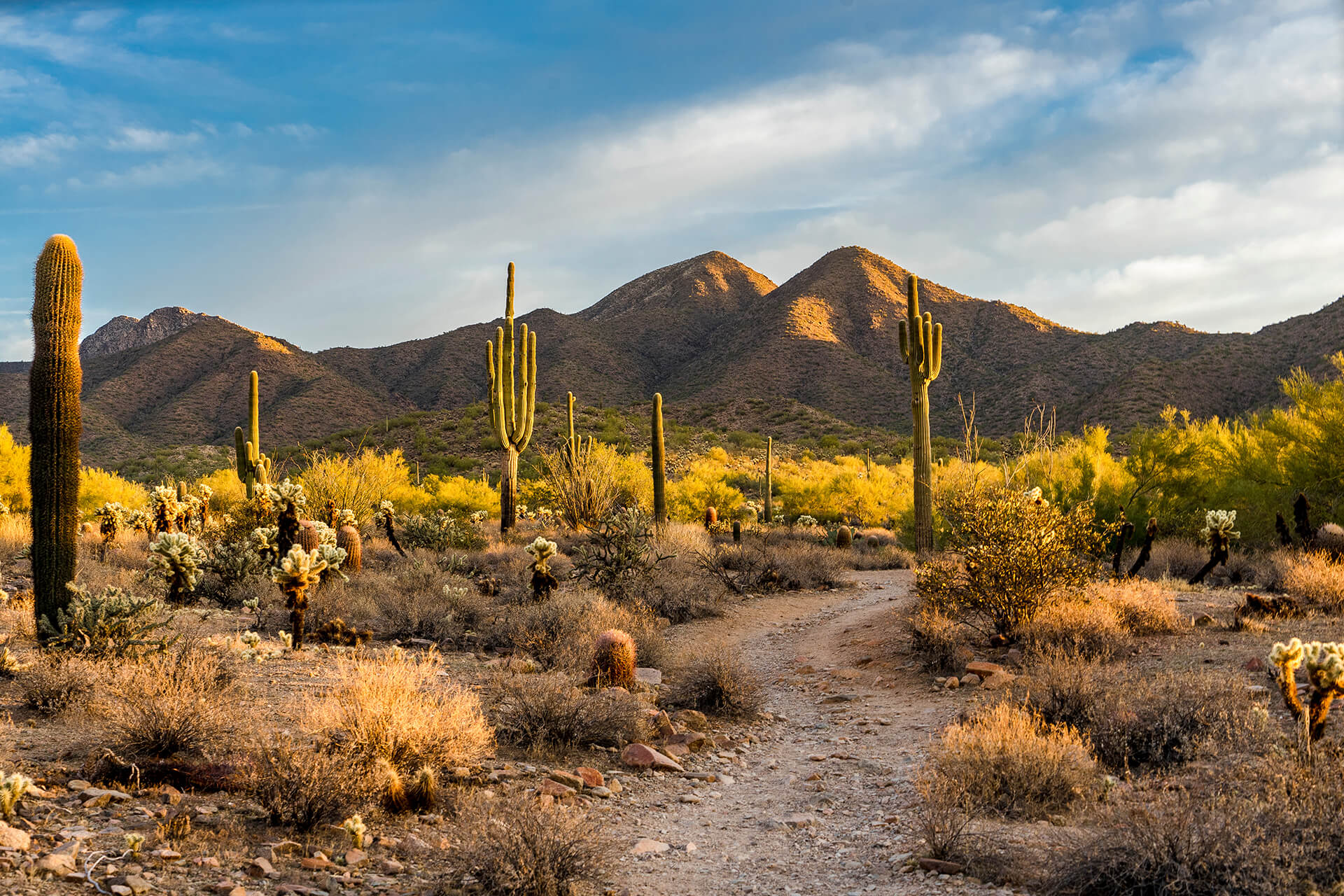Photo of the Fountain hills near Scottsdale